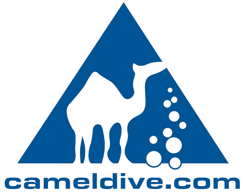 Camel Dive